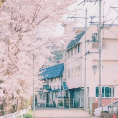 元宝派正式上线电脑版